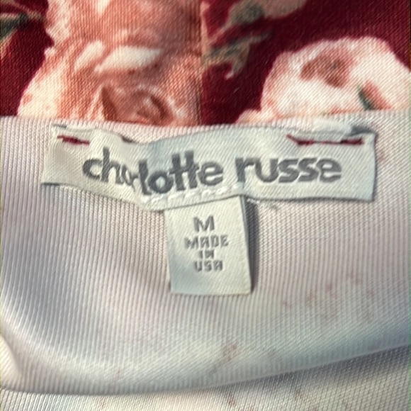 CHARLOTTE RUSSE MEDIUM NWT ROSES FLORAL SLEEVELESS ALINE DRESS - Picture 9 of 10
